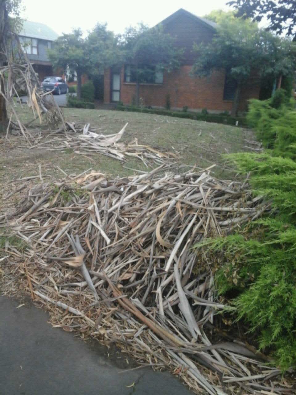 The photograph attached to this parks report