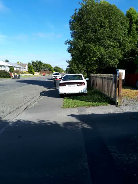 Rubbish/Recycling, a report photo