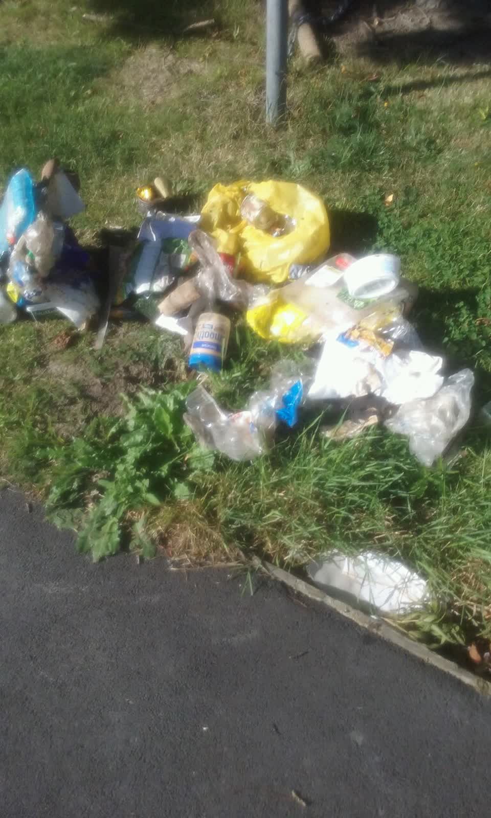 The photograph attached to this rubbish/recycling report