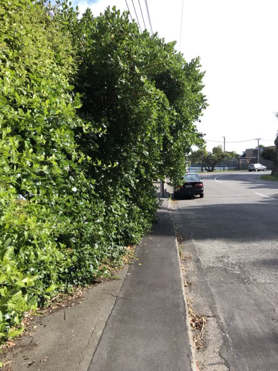 The photograph attached to this roading/streets report