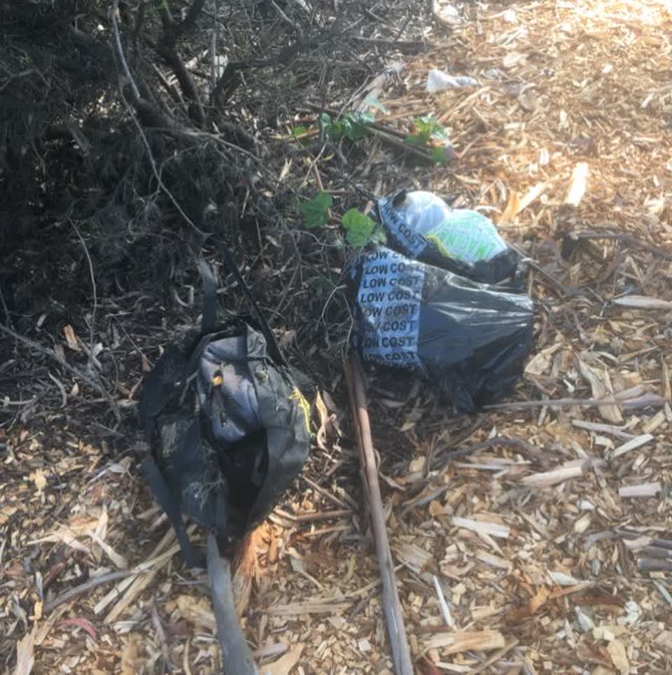 The photograph attached to this parks report