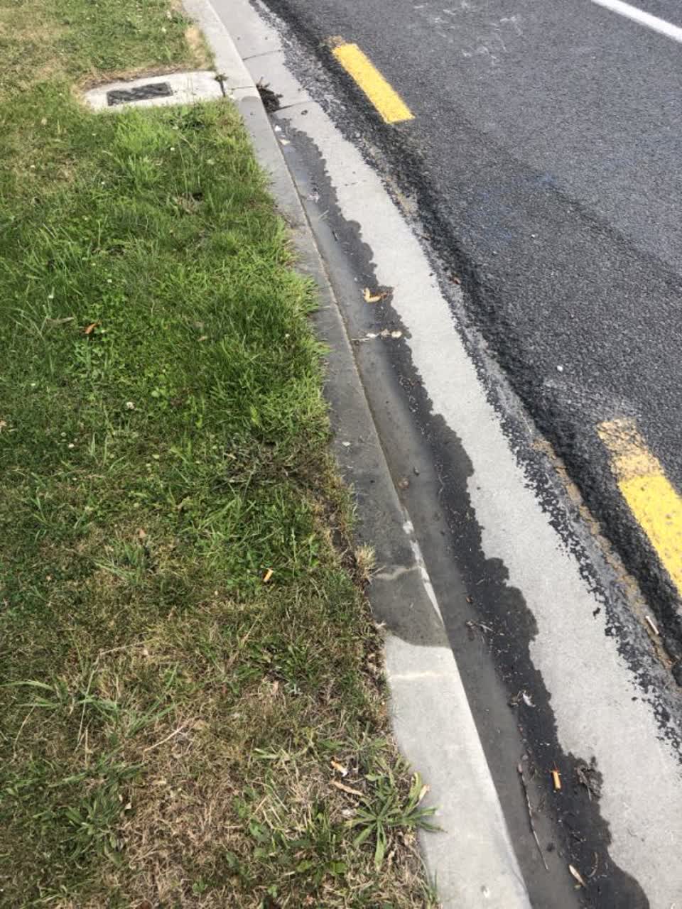 The photograph attached to this water supply report