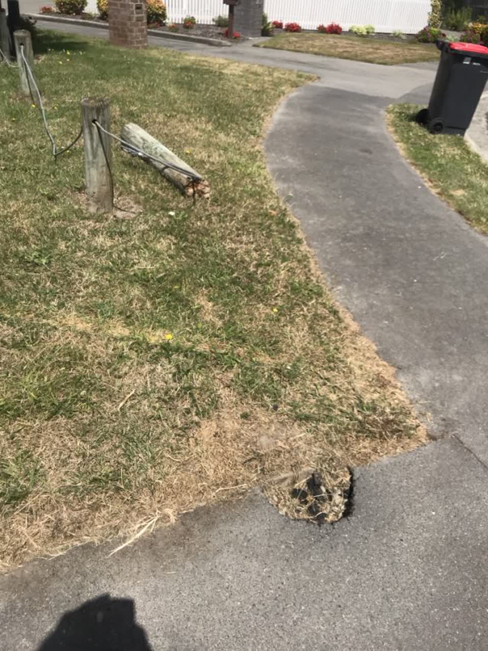 The photograph attached to this parks report