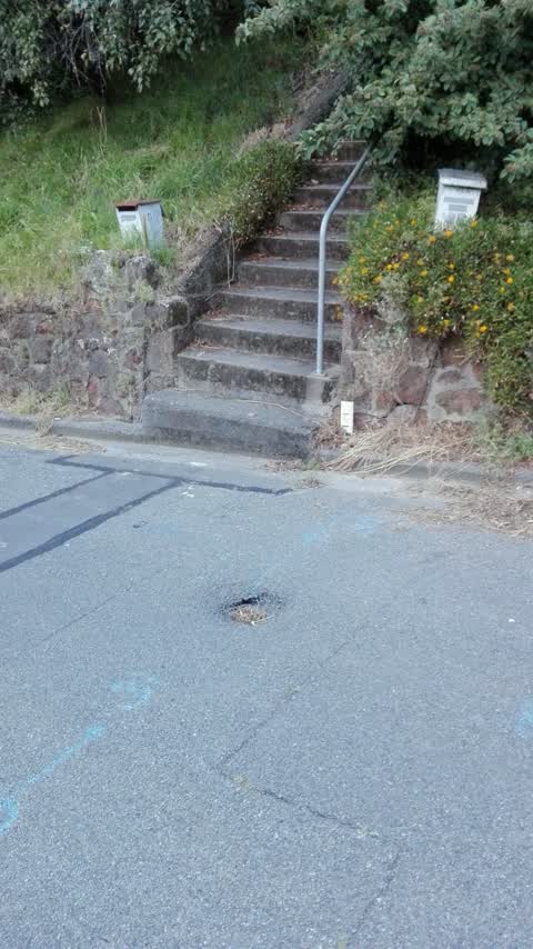 Roading/Streets, a report photo