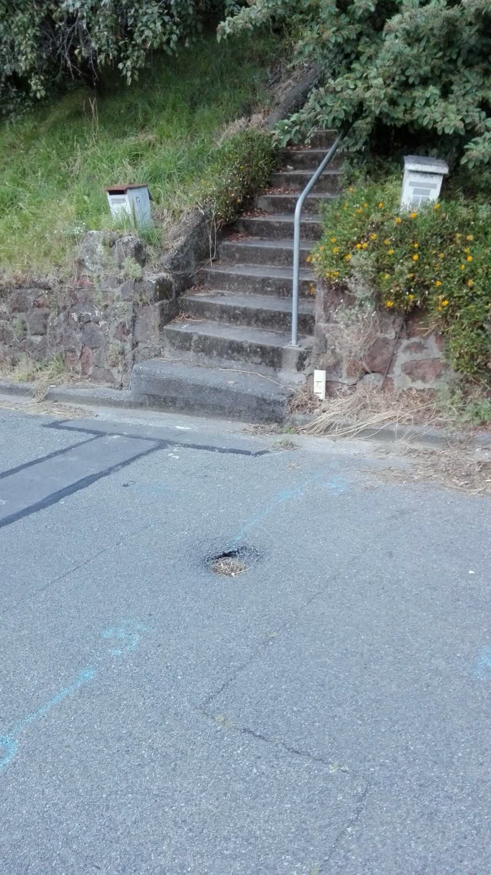 The photograph attached to this roading/streets report
