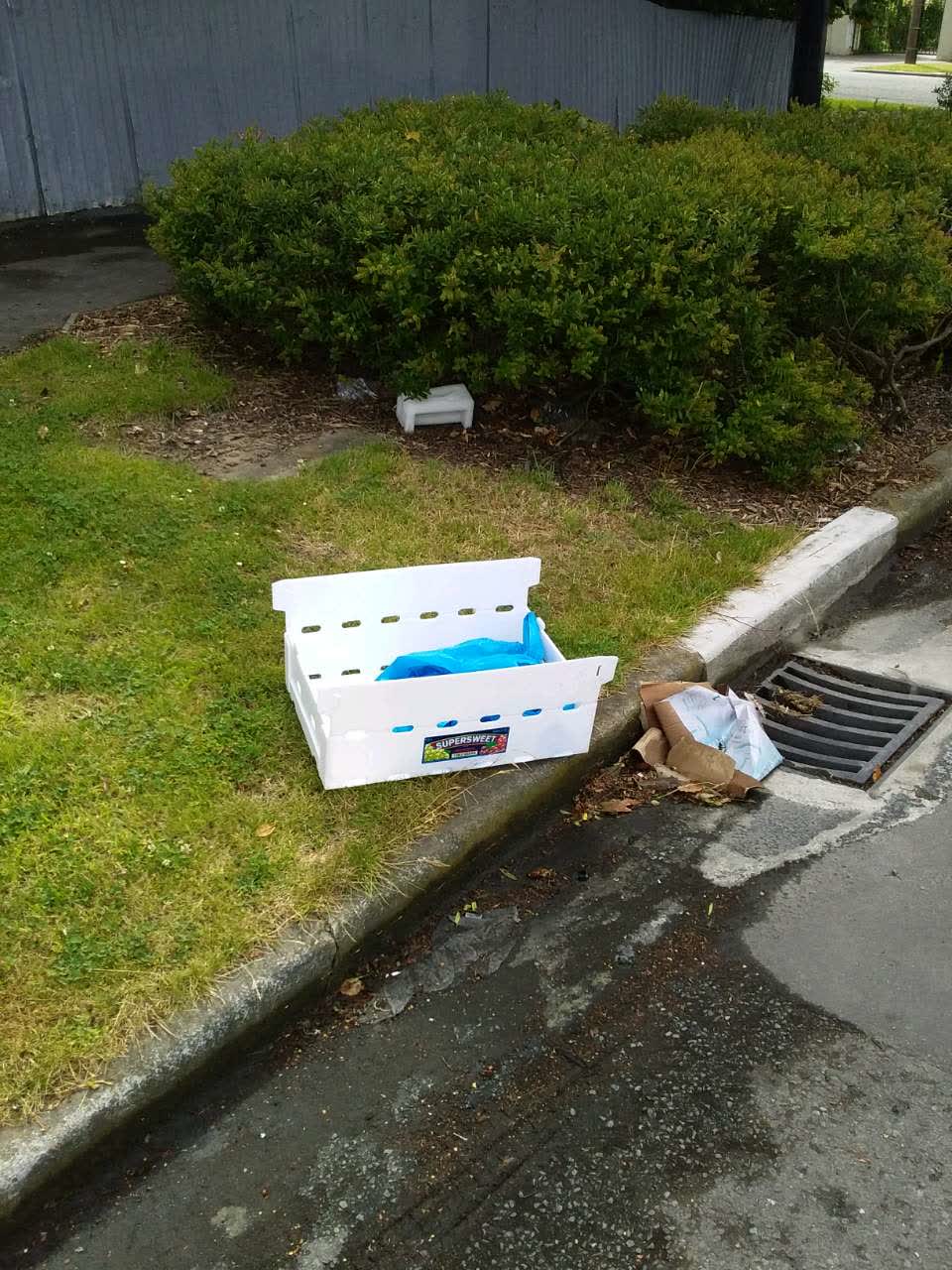 The photograph attached to this rubbish/recycling report