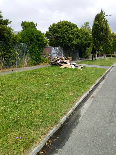 Rubbish/Recycling — a report photo