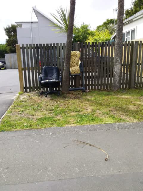 Rubbish/Recycling, a report photo