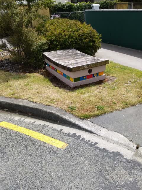 Rubbish/Recycling, a report photo