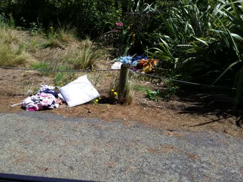 Rubbish/Recycling — a report photo