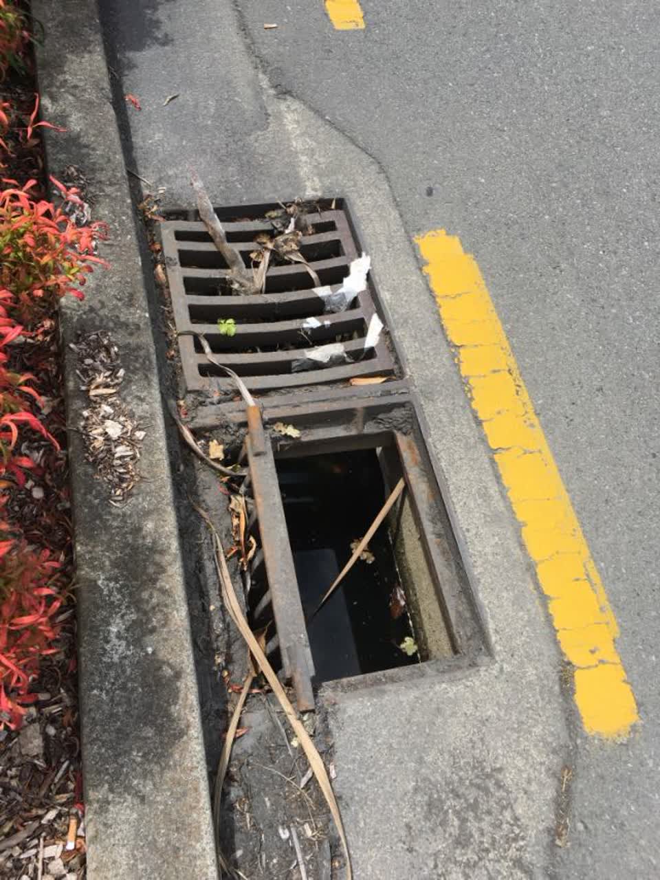 The photograph attached to this wastewater/stormwater report