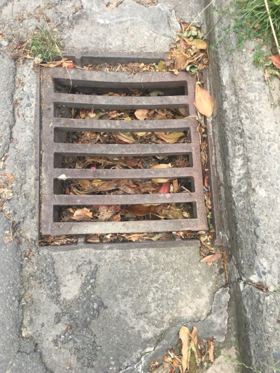 The photograph attached to this wastewater/stormwater report
