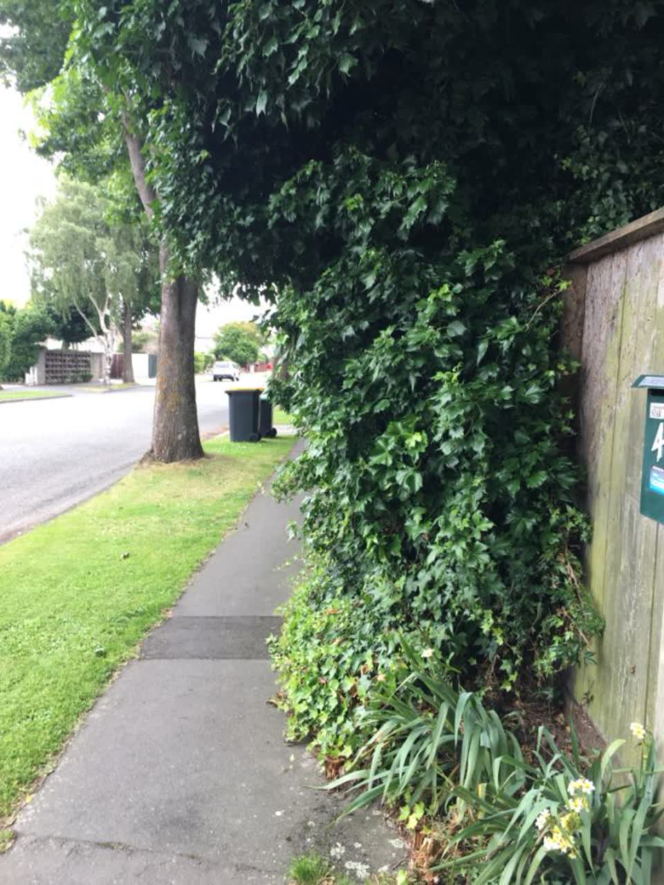 The photograph attached to this roading/streets report