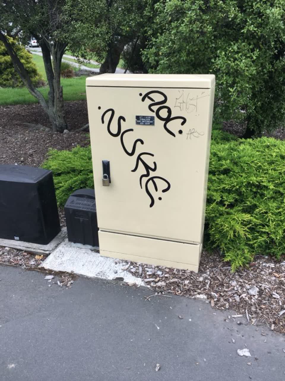 The photograph attached to this graffiti report