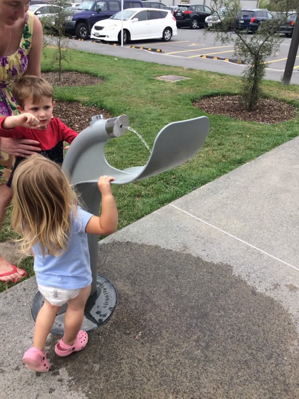 The photograph attached to this parks report