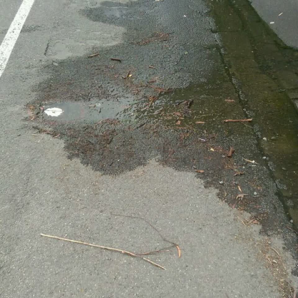 The photograph attached to this water supply report