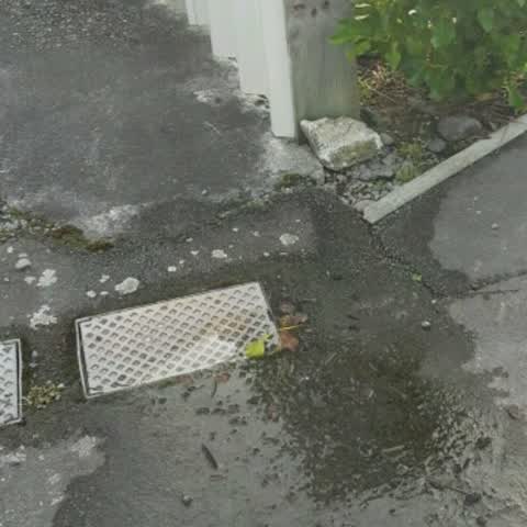 Wastewater/Stormwater, a report photo