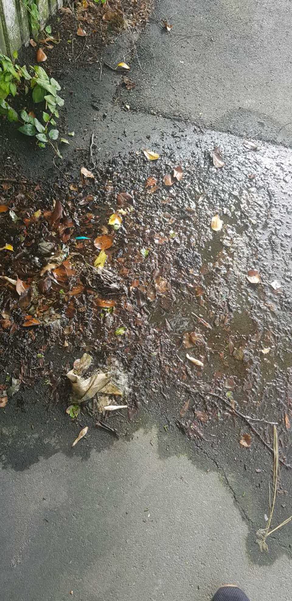 The photograph attached to this water supply report