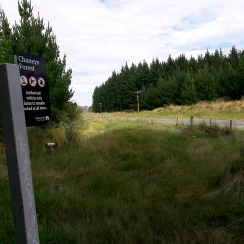 Roading/Streets, a report photo
