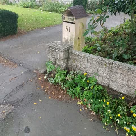 Roading/Streets, a report photo