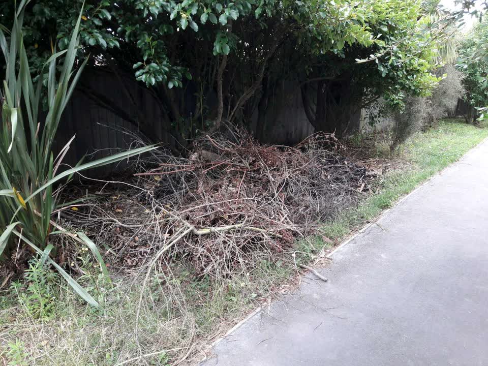 The photograph attached to this parks report