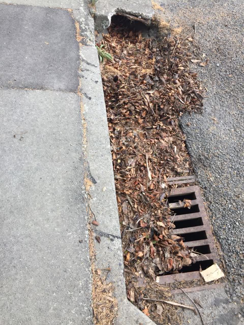 The photograph attached to this flooding report
