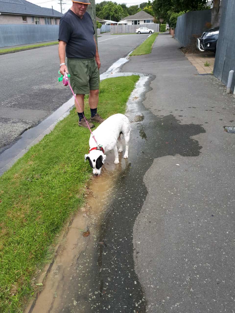 The photograph attached to this water supply report