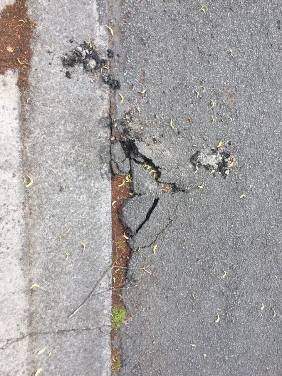 The photograph attached to this roading/streets report