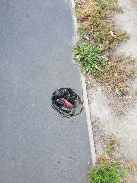 Roading/Streets, a report photo