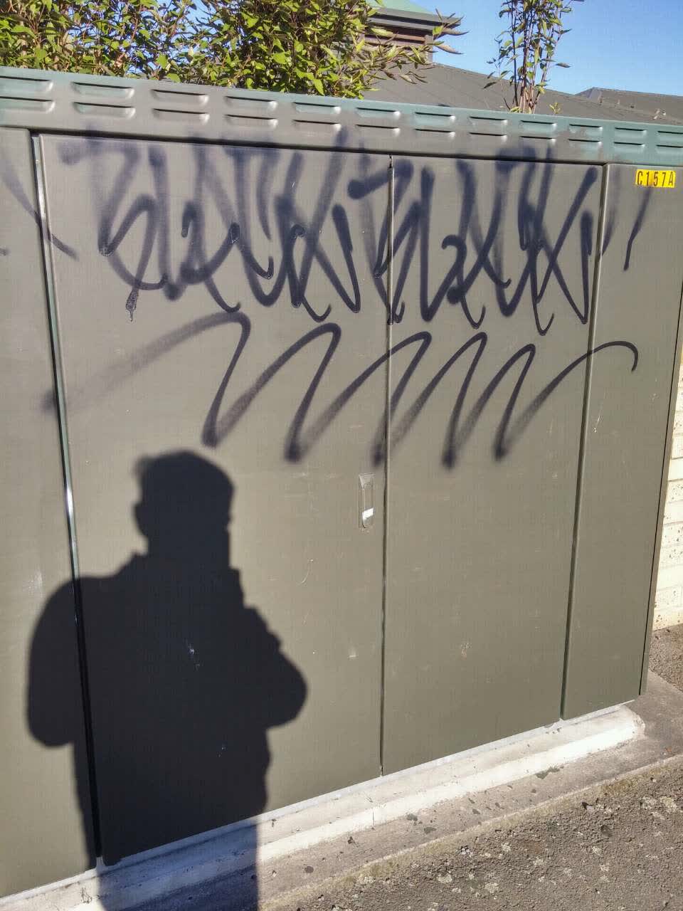 The photograph attached to this graffiti report