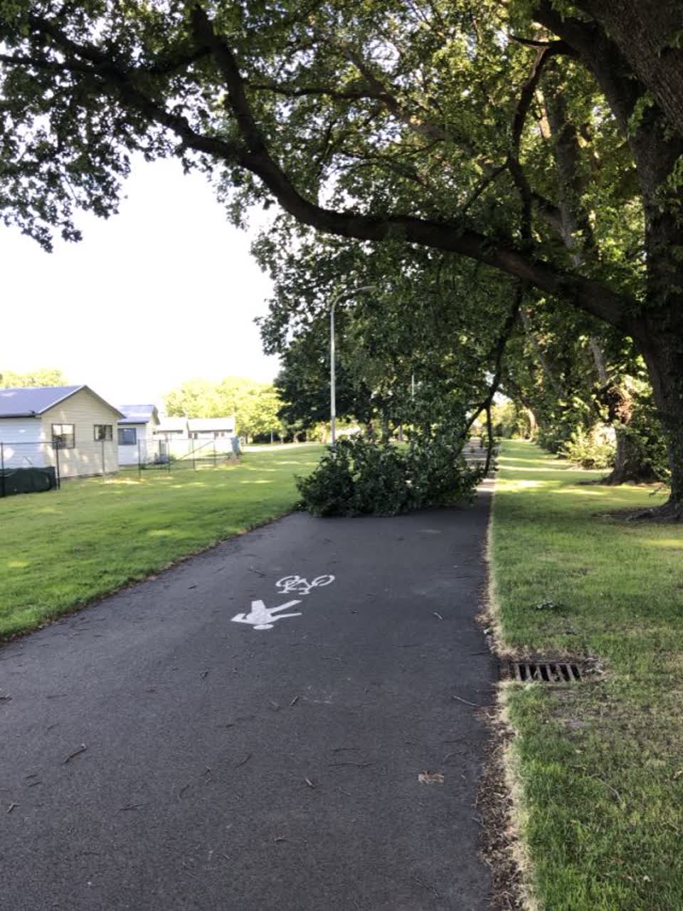 The photograph attached to this parks report
