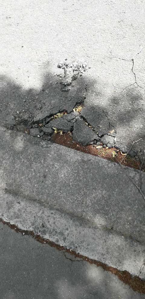 Roading/Streets, a report photo