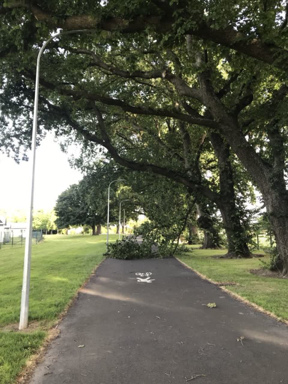 The photograph attached to this parks report