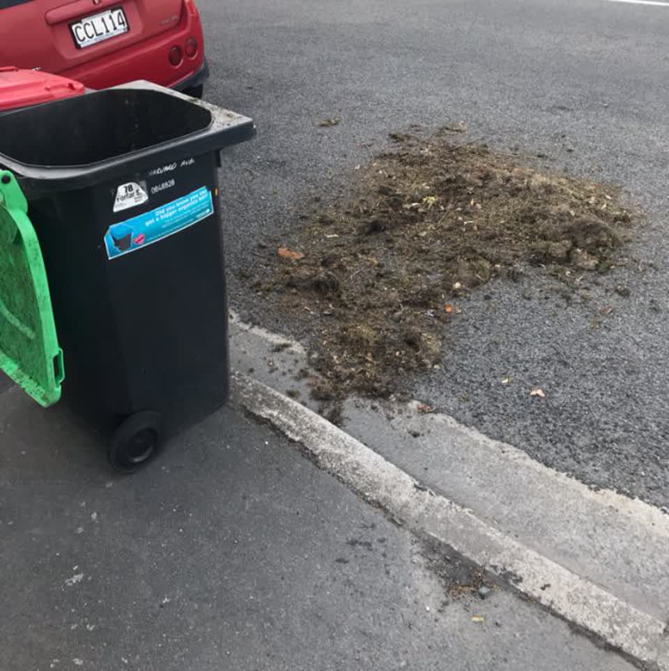 The photograph attached to this rubbish/recycling report