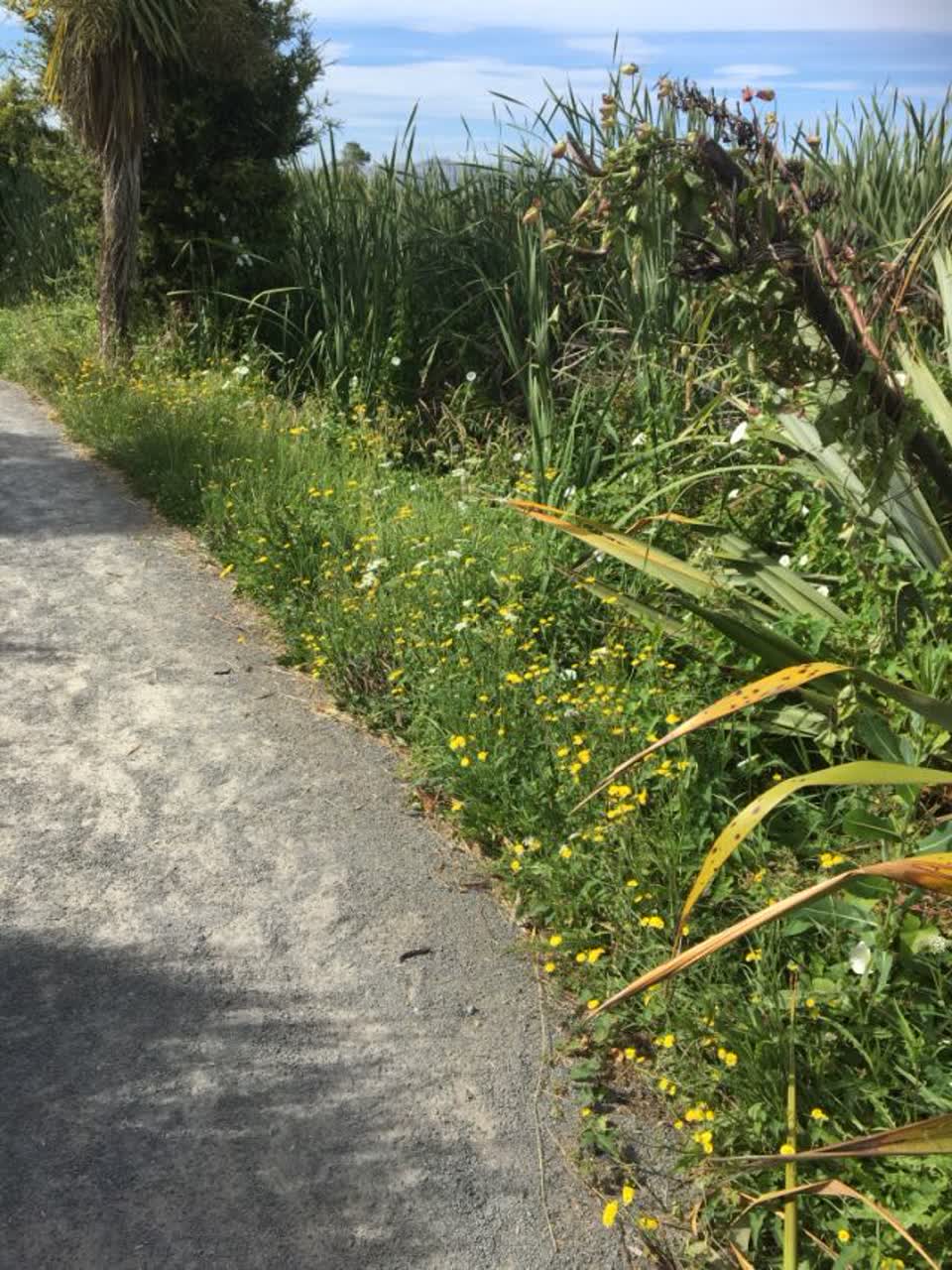 The photograph attached to this parks report