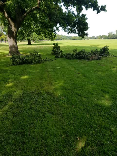 Parks, a report photo