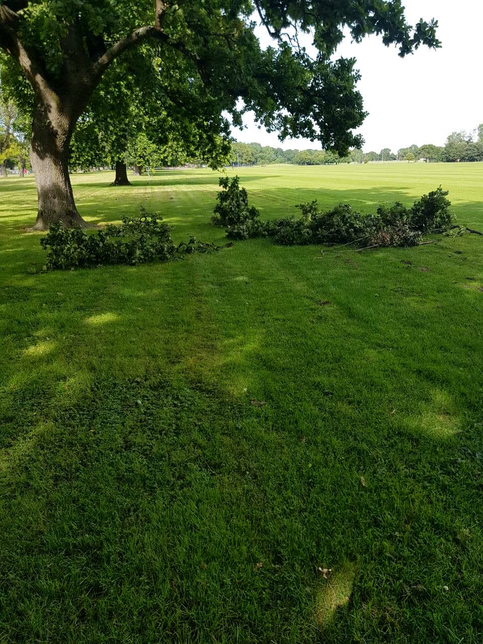 The photograph attached to this parks report