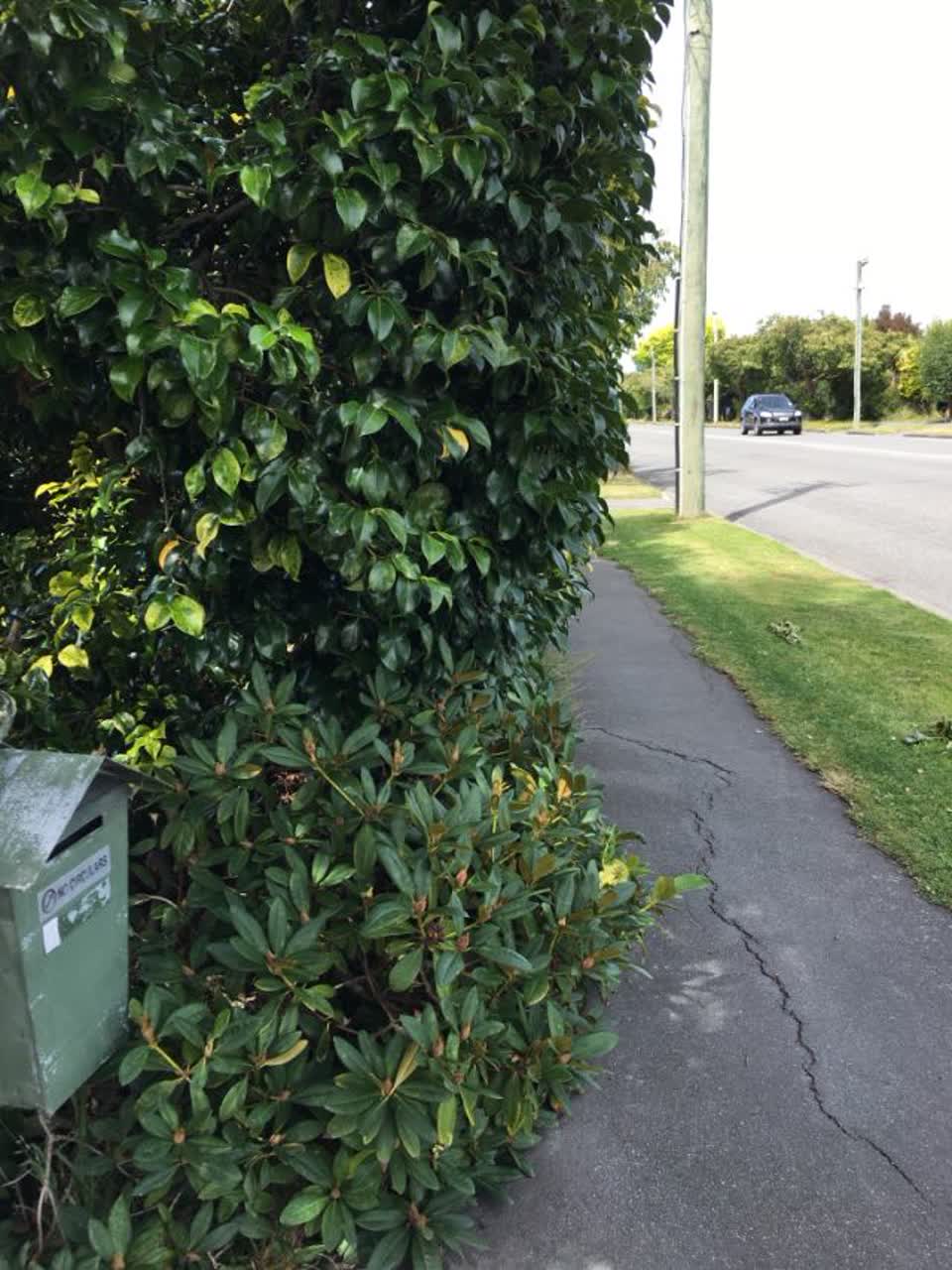 The photograph attached to this roading/streets report