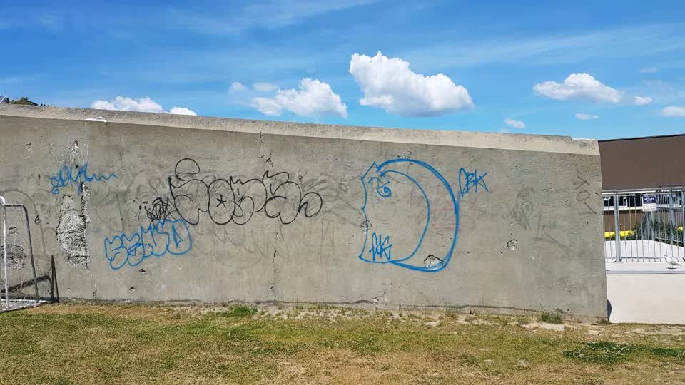 The photograph attached to this graffiti report