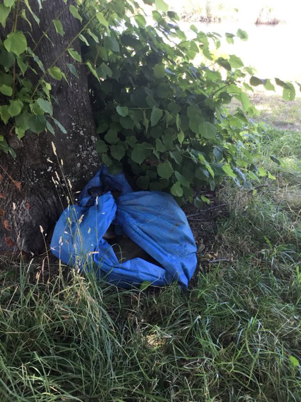 The photograph attached to this rubbish/recycling report