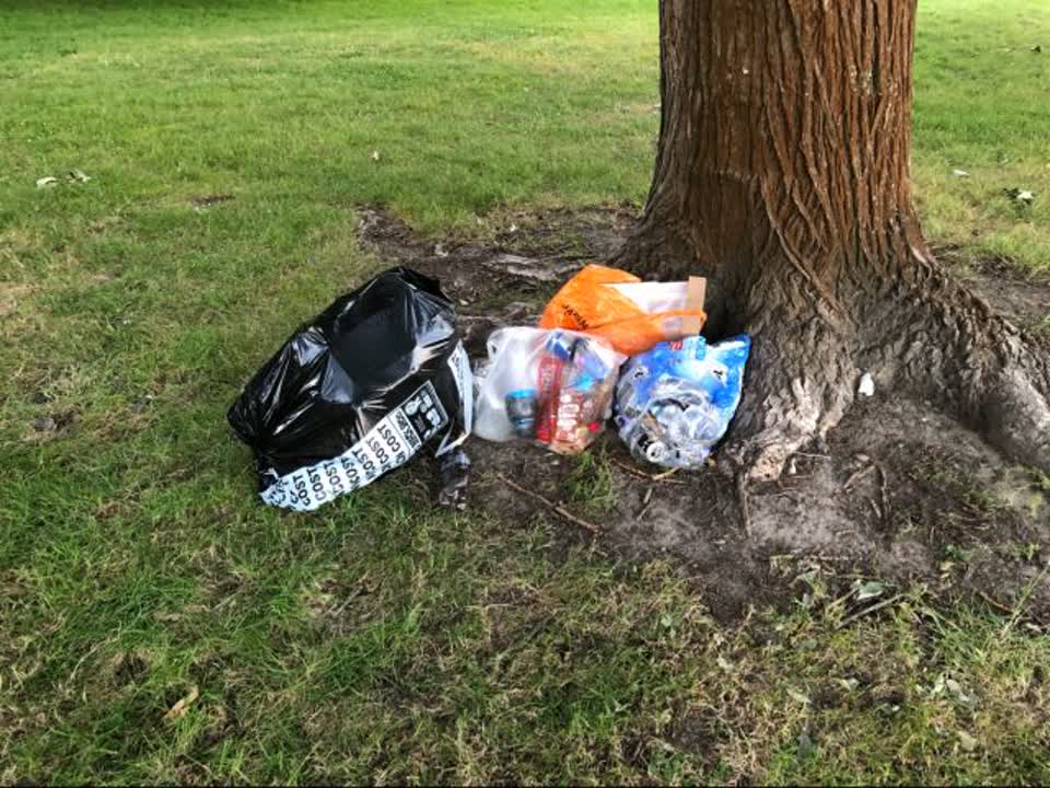 The photograph attached to this parks report