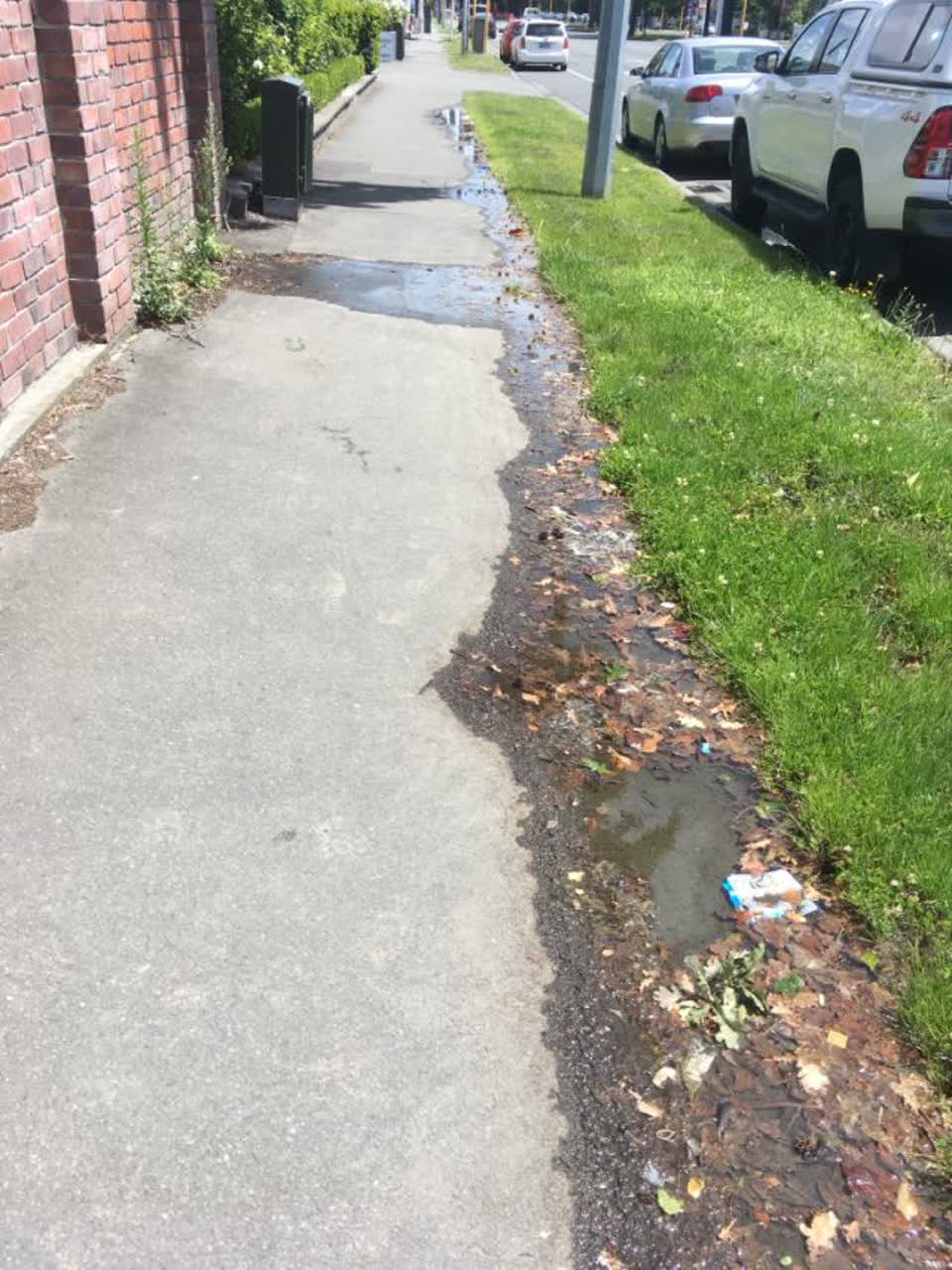 The photograph attached to this water supply report