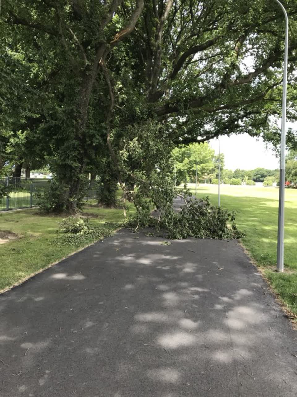 The photograph attached to this parks report