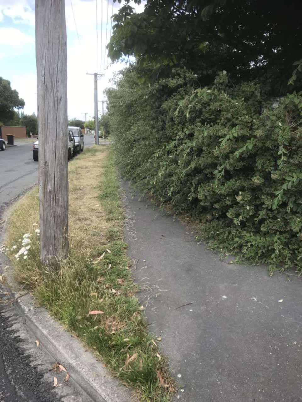 The photograph attached to this roading/streets report