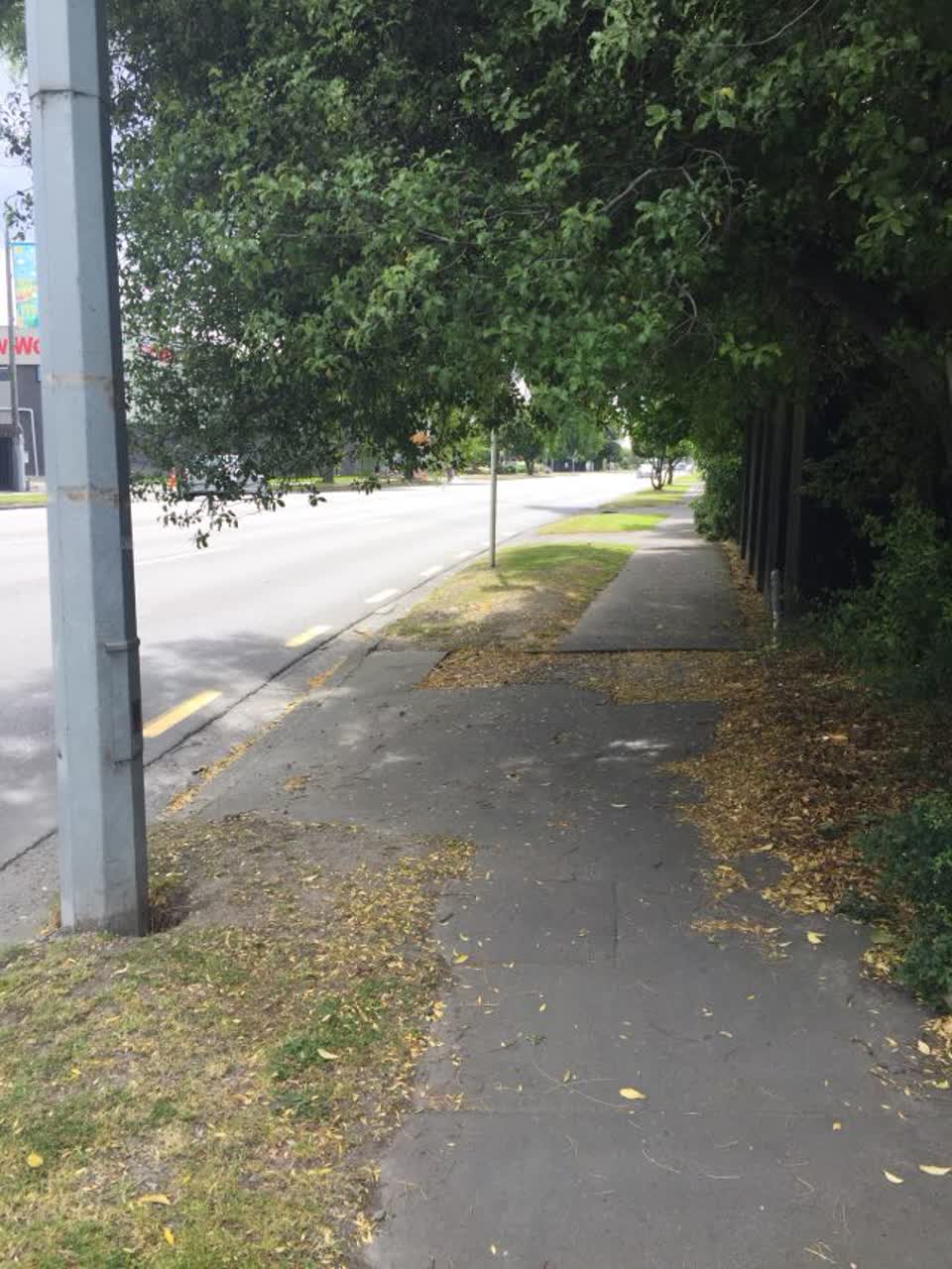 The photograph attached to this roading/streets report