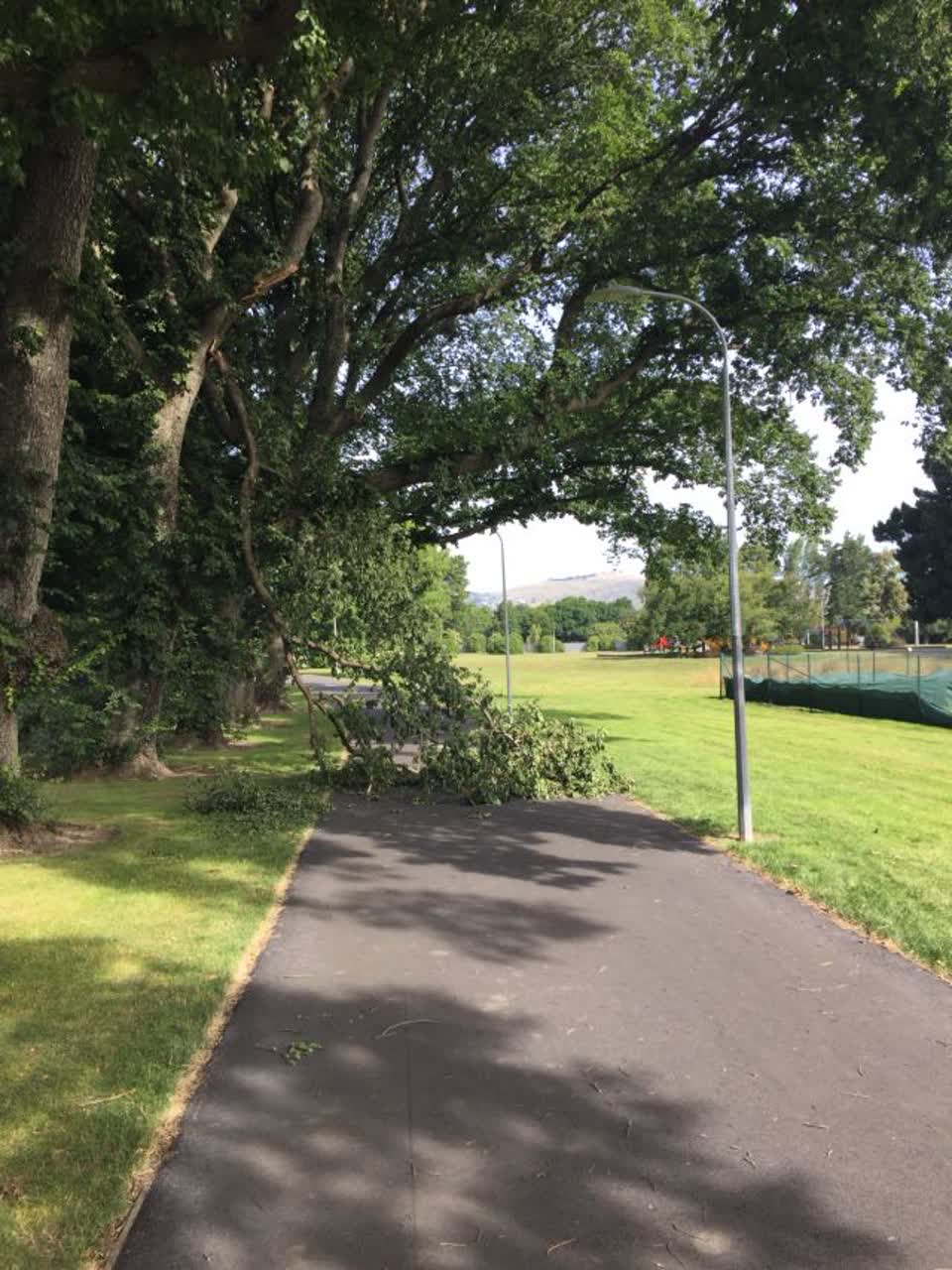 The photograph attached to this parks report