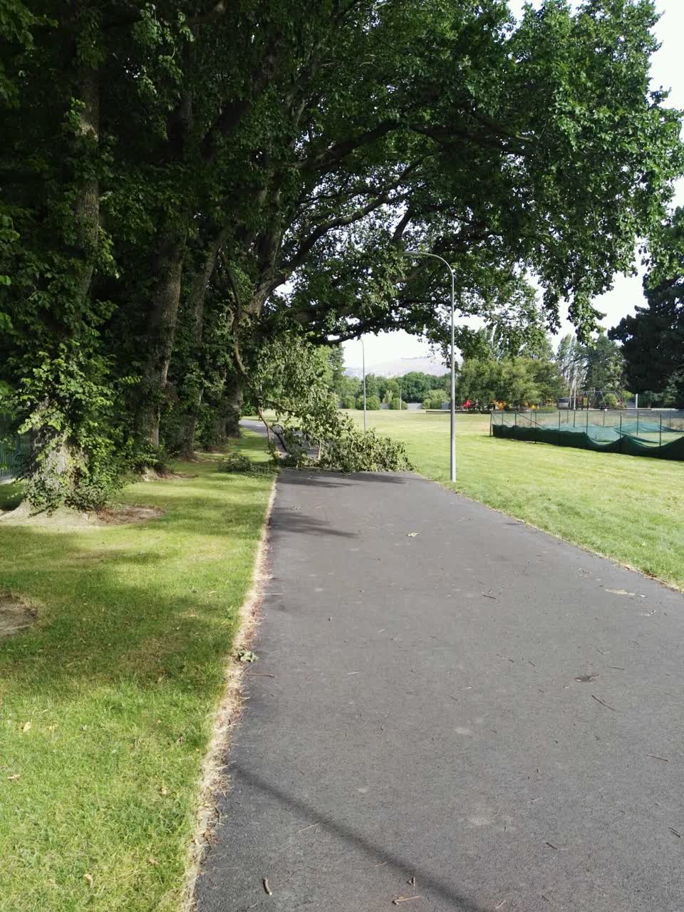 The photograph attached to this parks report