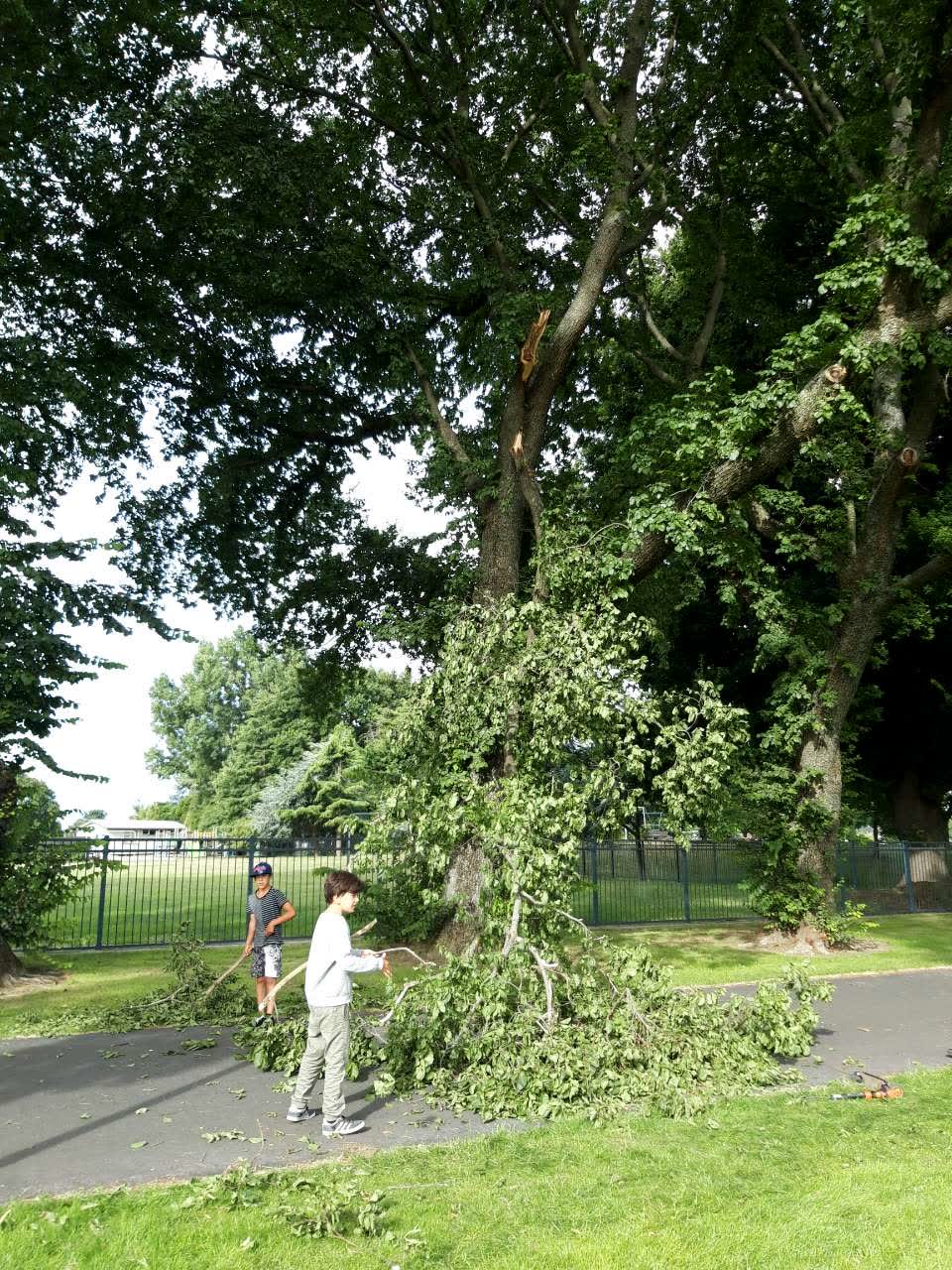 The photograph attached to this parks report
