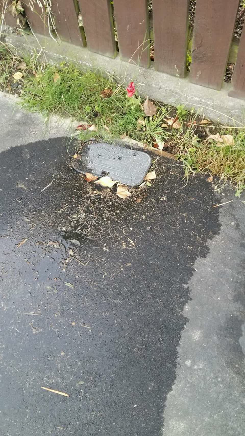 The photograph attached to this water supply report