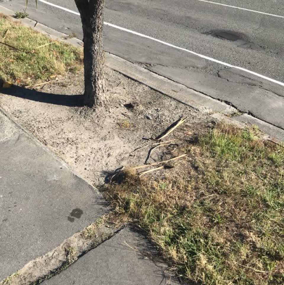 The photograph attached to this roading/streets report